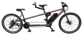 Polygon Impression Electric Tandem